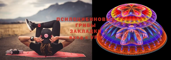 бошки Алексеевка