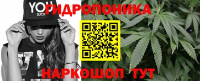 a pvp Кингисепп