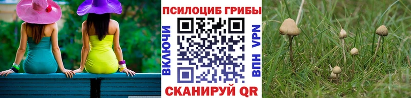 как найти наркотики  Сургут  Галлюциногенные грибы GOLDEN TEACHER 