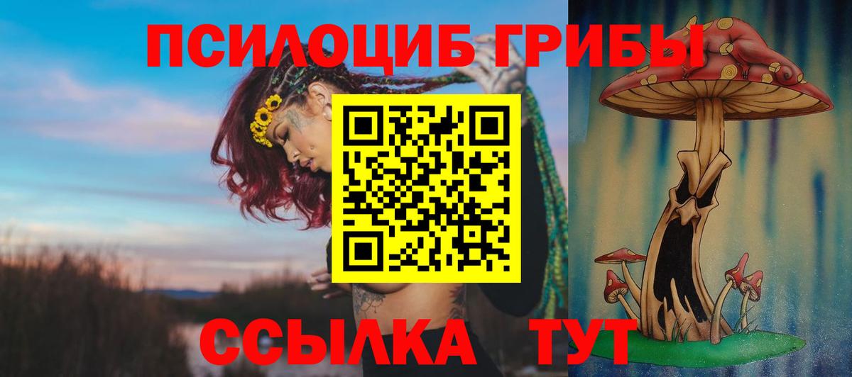 Псилоцибиновые грибы Cubensis Сургут