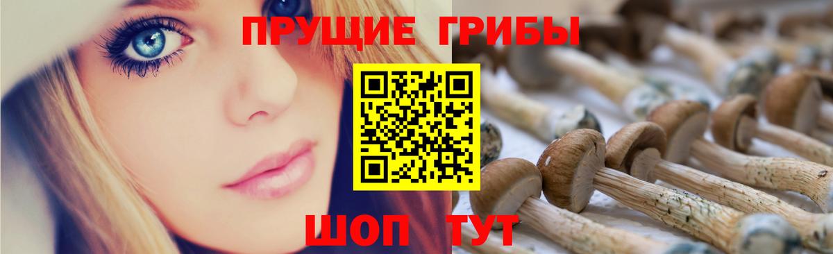 Галлюциногенные грибы мухоморы  Галлюциногенные грибы Psilocybe  Сургут  Вход с VPN 